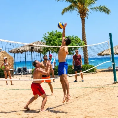 personnes jouant au beach volley sur sable fin, palmiers