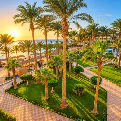 Jardin extérieur de  l'hôtel avec palmiers et coucher du soleil