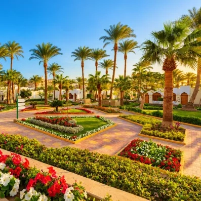 Le Jardin extérieur de l'hôtel avec des fleurs rouges et blanches, palmiers