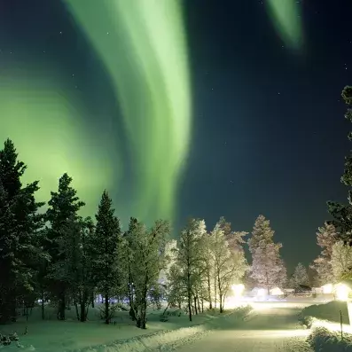 Aurore boréale en Laponie finlandaise, ciel nocturne illuminé au-dessus des forêts enneigées