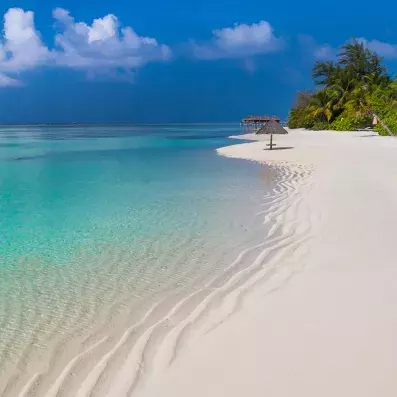 Plage de Punta Cana en République dominicaine, sable fin, eaux turquoise et cocotiers pour des vacances paradisiaques