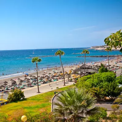 Plage de Playa de las Américas à Tenerife, transats, palmiers, baignade et ambiance balnéaire sur la côte sud de l’île.