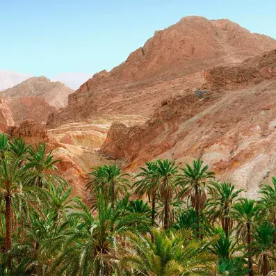 des montagnes rocheuses et une palmeraie dans la ville de Tozeur
