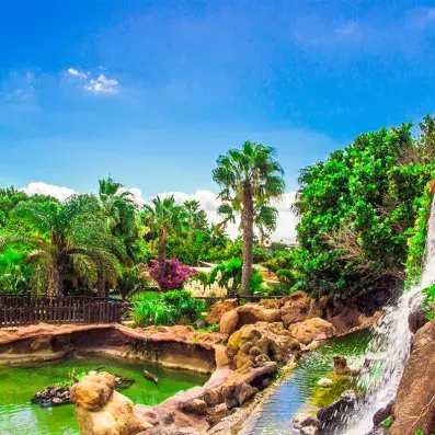 Jardin tropical avec cascades et bassins au Rancho Texas Park à Lanzarote, palmiers, végétation luxuriante et ciel ensoleillé.