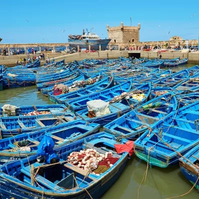 Port d’Essaouira animé avec barques bleues, pêcheurs et mouettes, scène emblématique de la ville côtière marocaine.