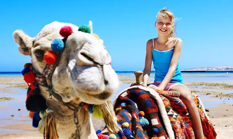 Balade à dos de dromadaire avec enfants au Maroc, activité ludique en famille sur la plage