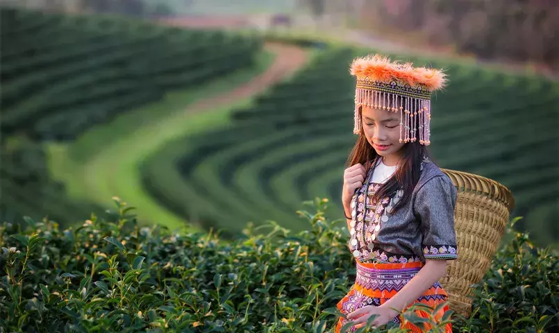 Femme thaïlandaise dans une rizière portant un habit traditionnel