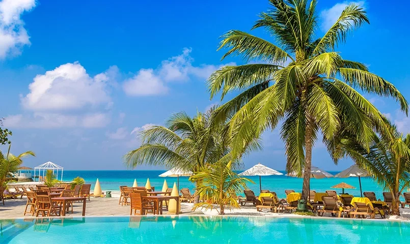 une piscine avec des palmiers devant une plage