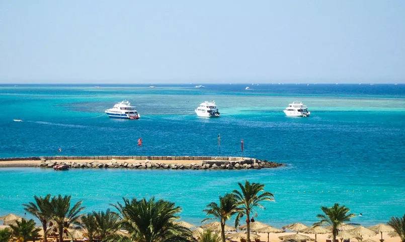 Vue panoramique sur une plage égyptienne bordée de palmiers, avec des yachts sur la mer bleu turquoise. 