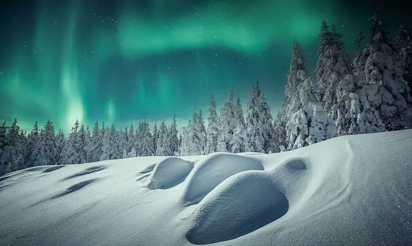 L'aurore boréale brille dans le ciel au-dessus d'une forêt enneigée. 