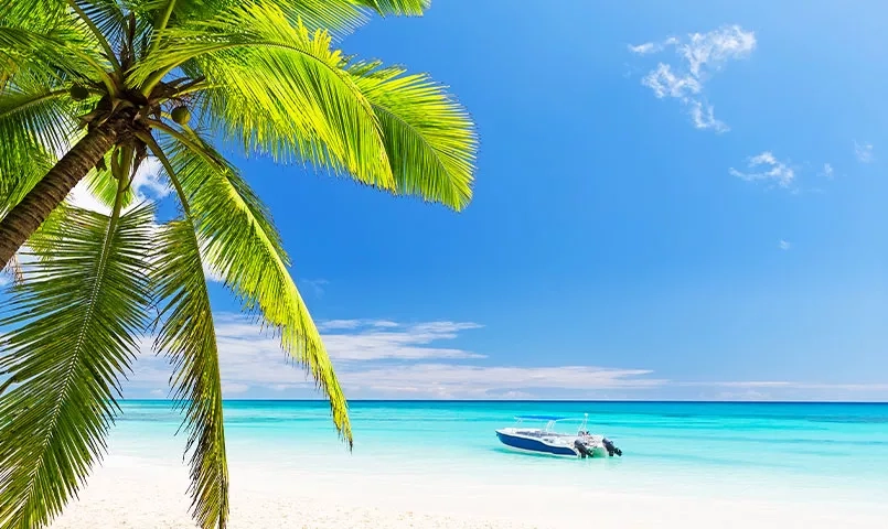 Une plage tropicale avec une mer turquoise, un ciel bleu et un palmier au premier plan, avec un bateau au large. 