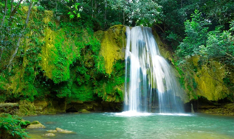 Une cascade d'eau tombant dans une piscine d'eau turquoise entourée de  végétation luxuriante. 