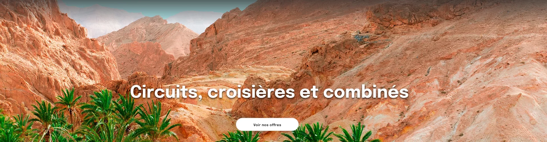 Des montagnes rocheuses et des palmiers en Tunisie