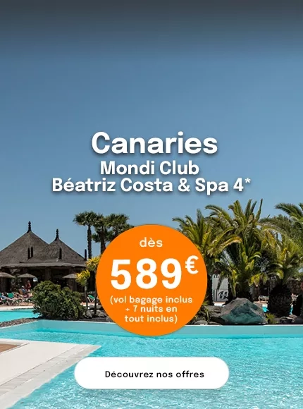 une piscine avec des palmiers aux Canaries avec une offre à 589€